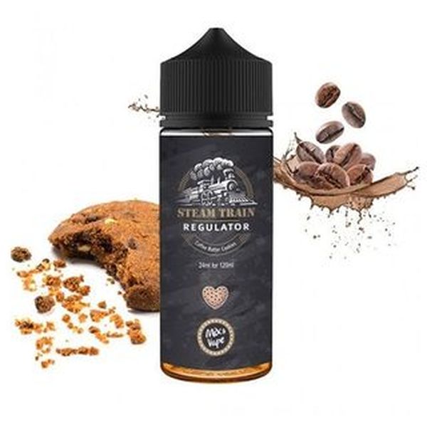 BCV Steam Train - Regulator