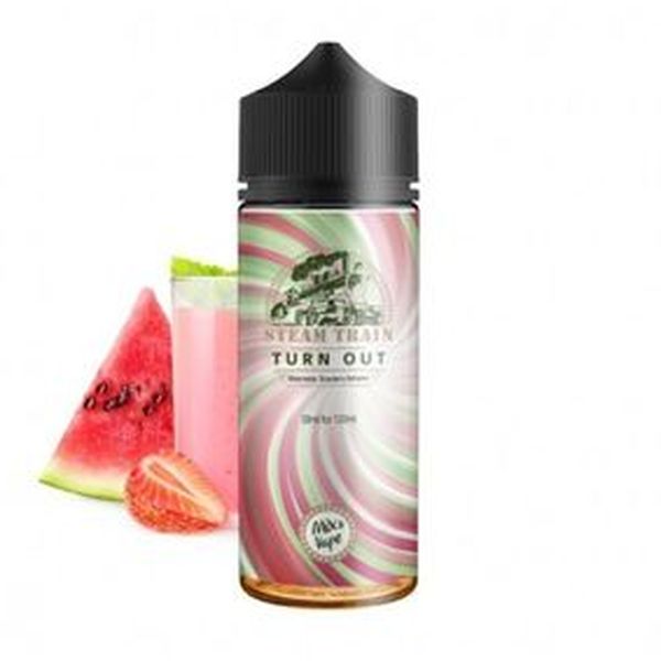 BCV Steam Train - Turn Out 